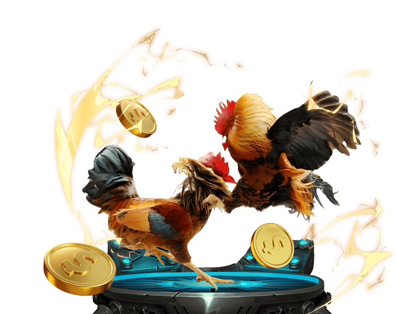 Đá Gà Trực Tuyến Sin88